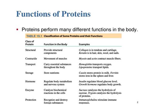 Ppt Amino Acids And Proteins Powerpoint Presentation Free Download