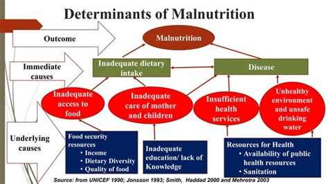 Severe Acute Malnutrition SAM And Nutrition Rehabilitation Centre