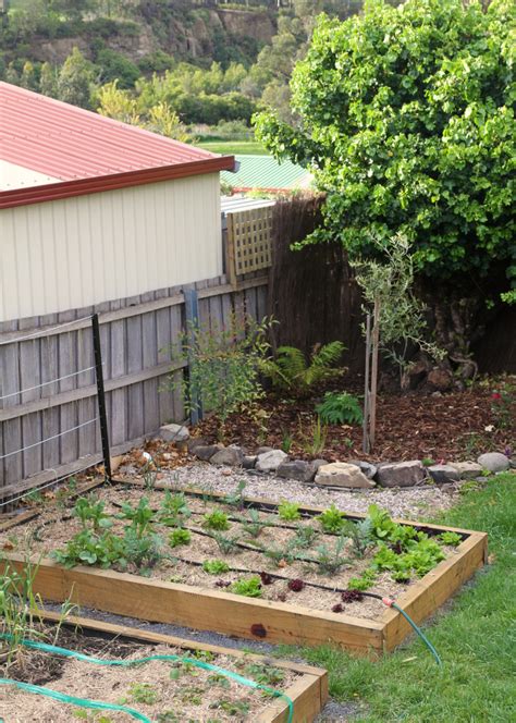 Square Foot Gardening Let S Do This Saltbush Avenue