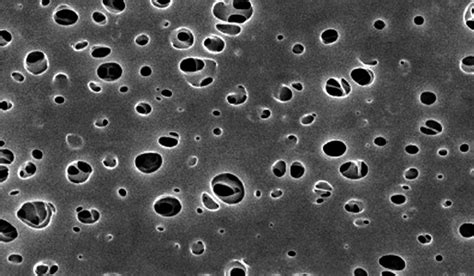 Membrane Filter Pes Polyethersulfone Dorsan