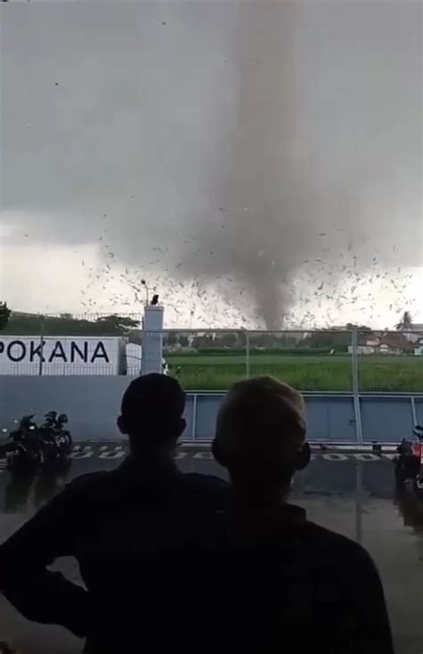 Perbedaan Angin Puting Beliung Dan Tornado Dari Bentuk Ukuran Dan