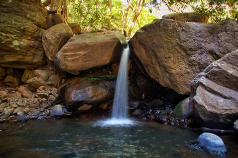 Celebra la Sierra de Quila 41 años de conservación