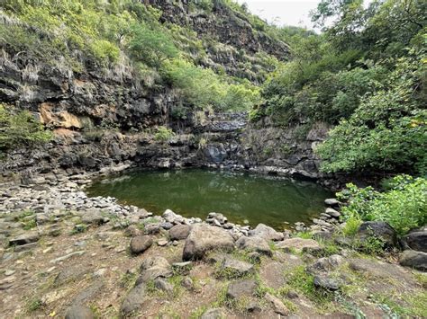 Walking to Waimea Falls with Kids - Roths Around The World