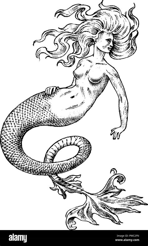 Mermaid Frau Meer Sirene Antike Griechische Mythische Monster