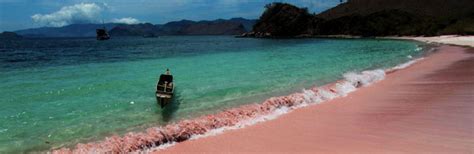 pink beach flores | the paradise beach