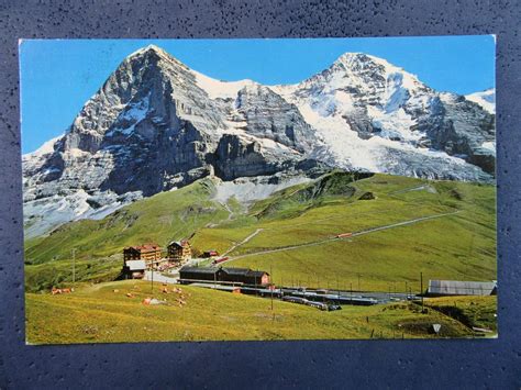 Ak Beo Kleine Scheidegg Eiger M Nch Im Sommer Kaufen Auf Ricardo