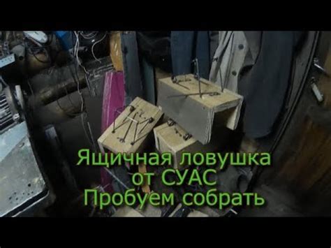 Ящичная ловушка от СУАС Пробуем собрать - YouTube