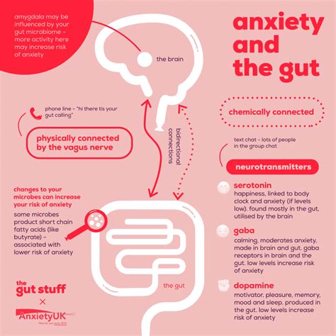 The Brain All About The Gut Brain Axis The Gut Stuff