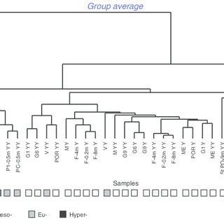 Dendrogram Obtained By Hierarchical Cluster Analysis Using The