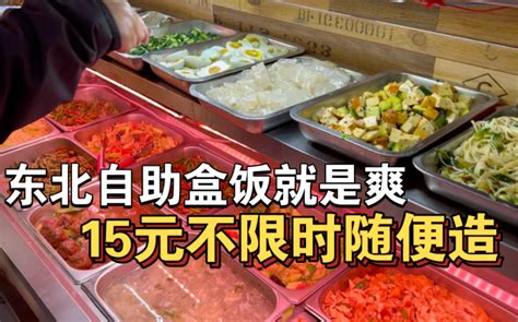 东北自助盒饭，15元随便造 转生成为毛毛 转生成为毛毛 哔哩哔哩视频