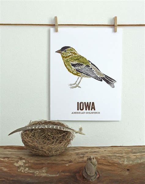 Iowa State Bird, Nature Art, Outdoor Art, Vintage Map Art, Art Print, Wall Decor, Rustic Nursery ...