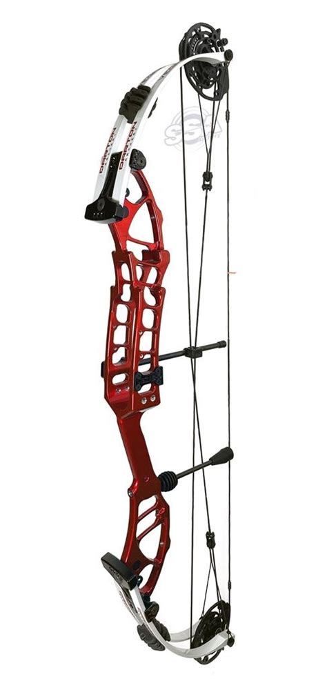 Darton DARTON VEGAS E T COMPOUND BOW Sergesport