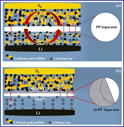 Schematic Representation Of Li S Battery A With A Pp Separator Showing Download Scientific