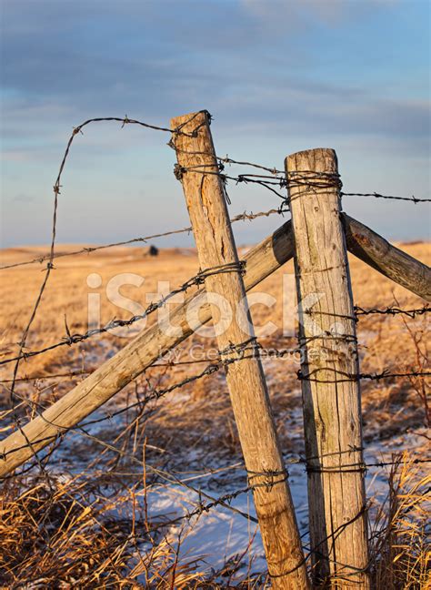 Fence Line The Typical Wood Post And Barbed Wire Barrier Photograph By