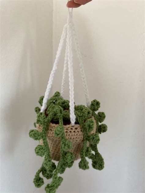 A Crocheted Plant Hanging From A White Wall