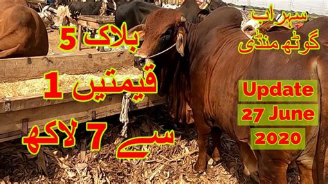 Cattle Prices Sohrab Goth Maweshi Mandi June Youtube