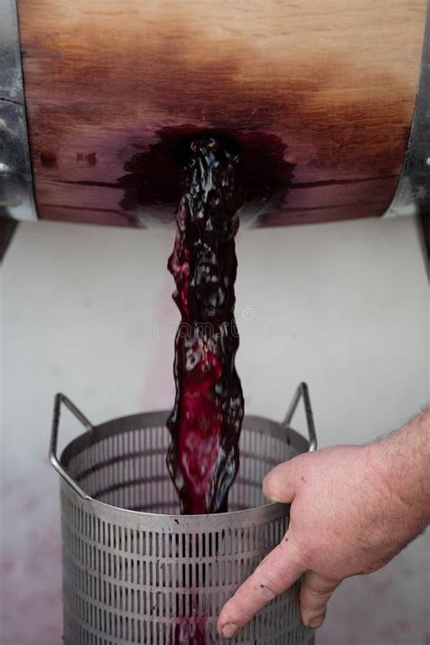 Wine Mixing During Fermentation Process In Barrel Bordeaux Vineyard