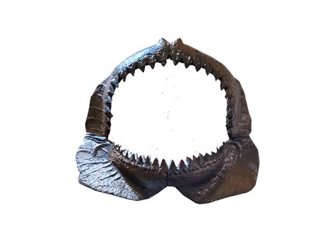 Megalodon Jaw