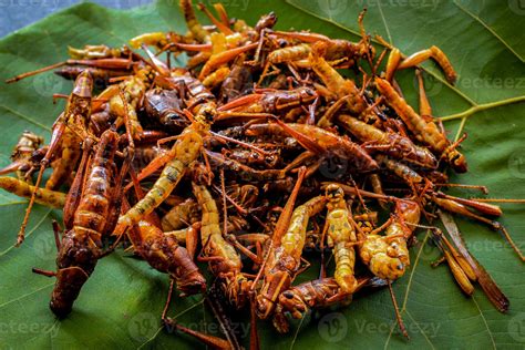 fried grasshopper or belalang goreng is traditional food from southeast asia, served with sambal ...