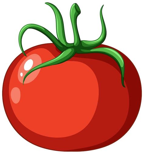 Premium Vector A Simple Tomato Cartoon Isolated