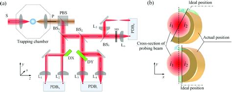 A The Schematic Of Displacement Measurement B The Diagram Of The