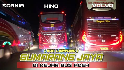 Balapan Bus Lampung Masuk Aceh Gumarang Jaya Di Kejar Volvo Sempati