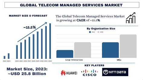 Telecom Managed Services Market Size Share And Forecast 2024 2032