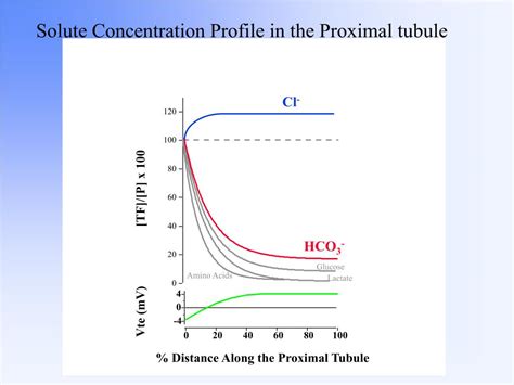 Ppt Lecture Iv And V Tubular Transport Mechanisms Powerpoint