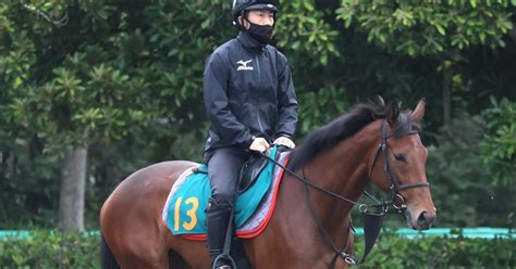 【今日の注目新馬】超良血ウンブライルが始動 太田助手「新馬から走る血統」 サンスポzbat