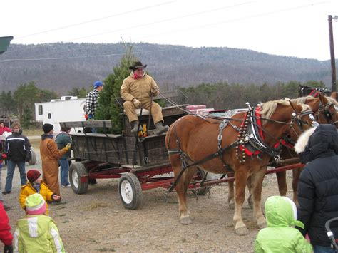 Returning With Trees Jb Tree Farm Offers Wagon Rides Out T Flickr