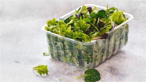 How Paper Towels Can Keep Your Salad Greens Fresh All Week Long