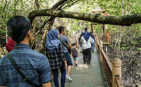 Langkawi: Mangrove Kilim UNESCO Geopark & Cave Tour | GetYourGuide