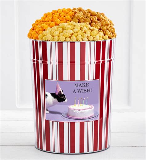 Tins With Pop 4 Gallon Birthday Cat Cake The Popcorn Factory