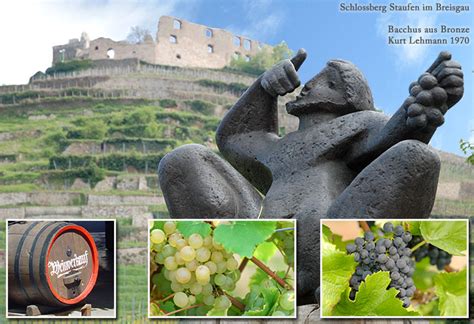 Badischer Wein An Der Badischen Weinstrasse