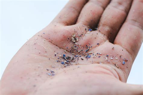 Microplastics Could Be Disrupting Sex Hormones Finds New Study