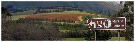 Stellenbosch Wine Tours - Full Day and Half Day Wine Tours of Stellenbosch