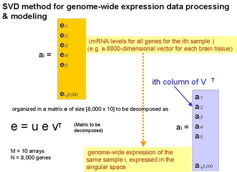 Gene Expression Analysis