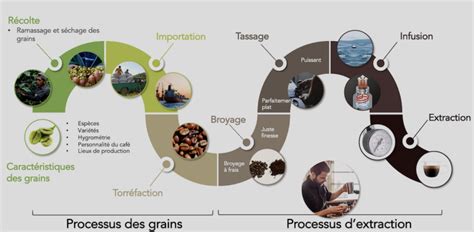 Fabrication De Caf Soluble Particularit S