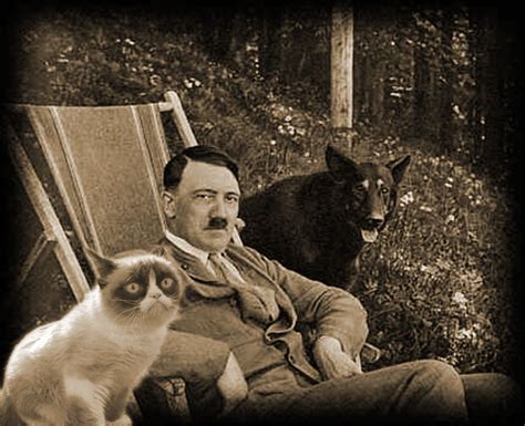 Grumpy Cat With Hitler Meme Generator