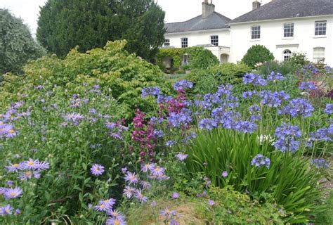 National Garden Scheme Open Day At Manor House Stratford Tony Horatio S Garden