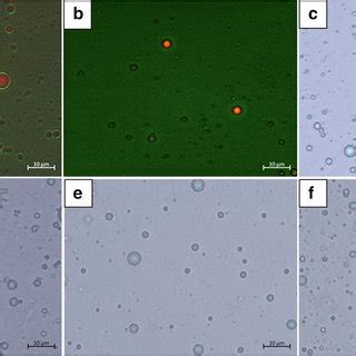 Fluorescence microscopy of a Pickering emulsion and b traditional ...