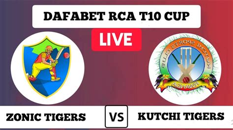 Zonic Tigers Vs Kutchi Tigers Zt Vs Ktt Live Scores Dafabet Rca T