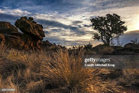 20 Magaliesberg Mountain Stock Photos, High-Res Pictures, and Images - Getty Images