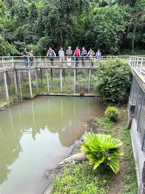 Philippine Crocodile Conservation Center: A Sanctuary for the ...