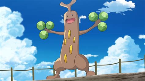 Brocks Sudowoodo Pokémon Wiki Fandom Powered By Wikia