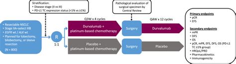 Design And Rationale For A Phase III Double Blind Placebo Controlled