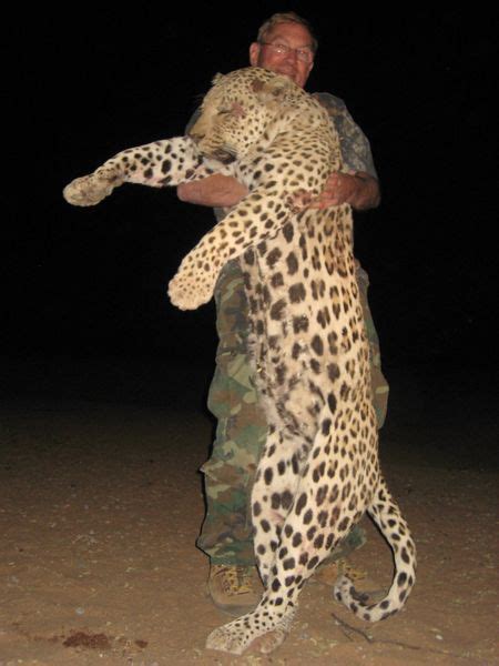 hunting-leopard-002 - Hunting Namibia Africa