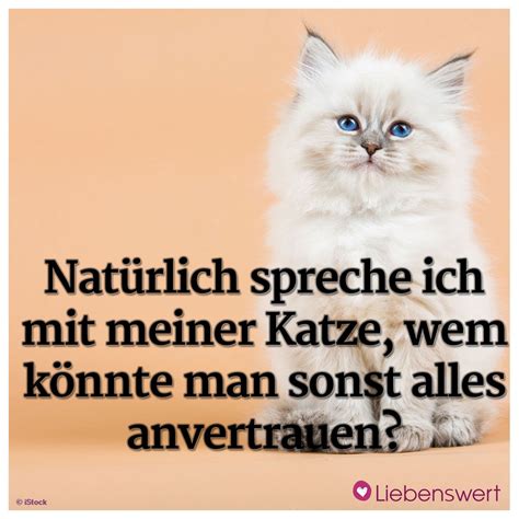 Spr Che F R Tierliebhaber Katzen Zitate Spr Che Tiere Katzen