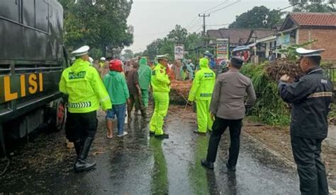 Cuaca Ekstrem Sejumlah Rumah Di Padang Tertimpa Pohon