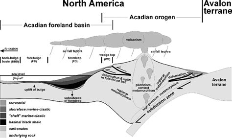 Idealized Cross Section Of The Acadian Orogen And Foreland Basin